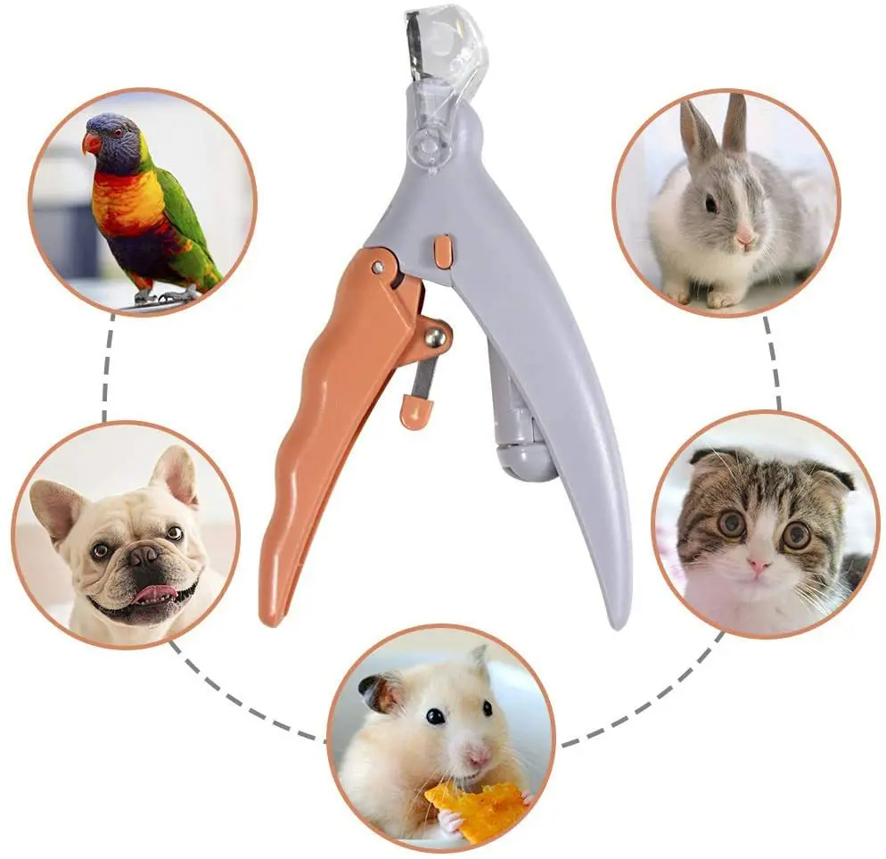 กรรไกรตัดเล็บสัตว์เลี้ยงแบบมือ - Grooming Scissors บทวิจารณ์และราคา